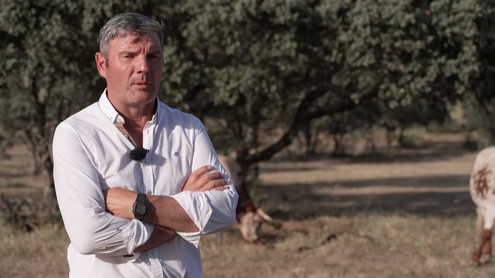 Ángel Gómez, ganadería brava, Tierra de Toros, Canal Extremadura, Juan Bazaga