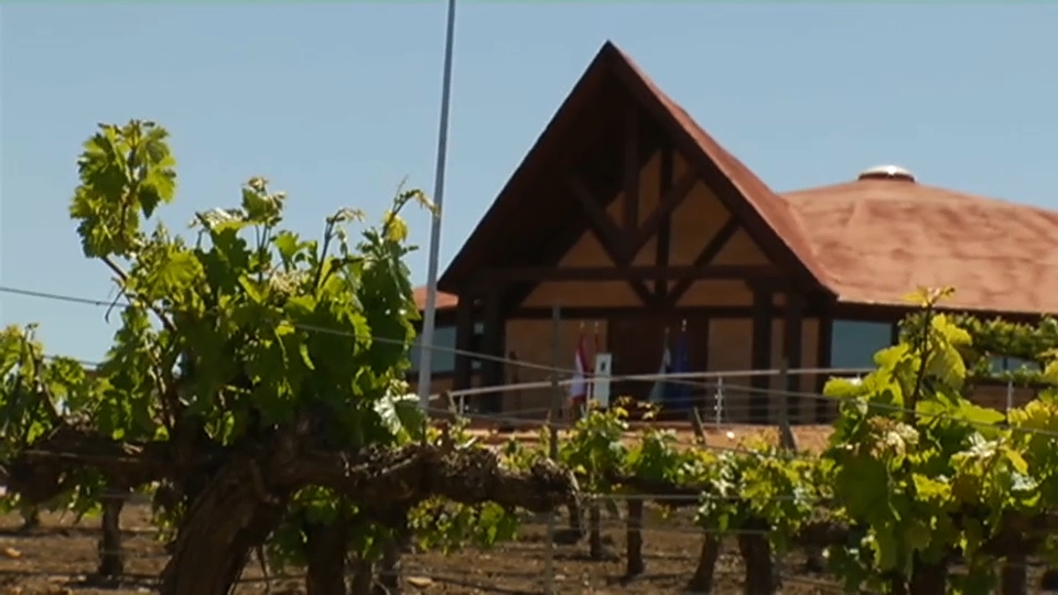 El enoturismo sigue progresando en la región.