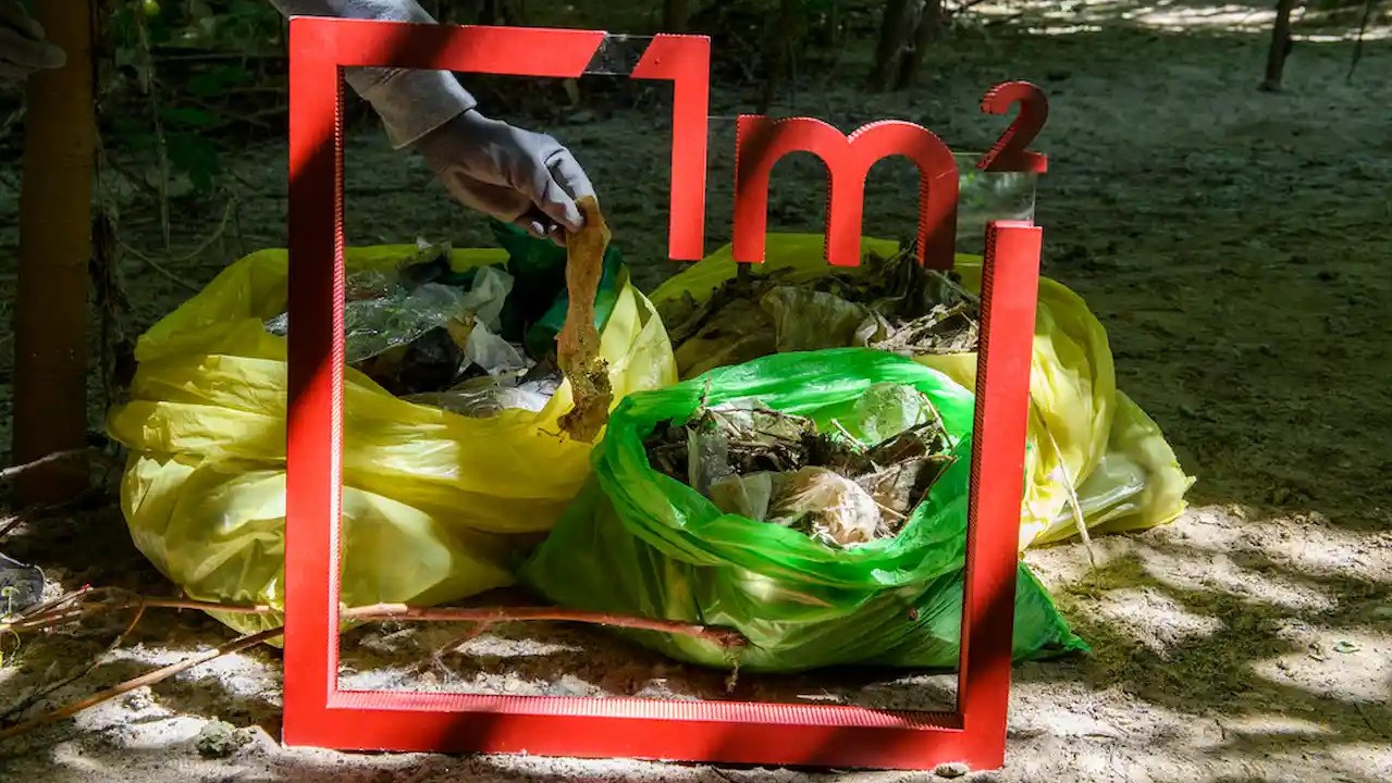 Basura en el campo