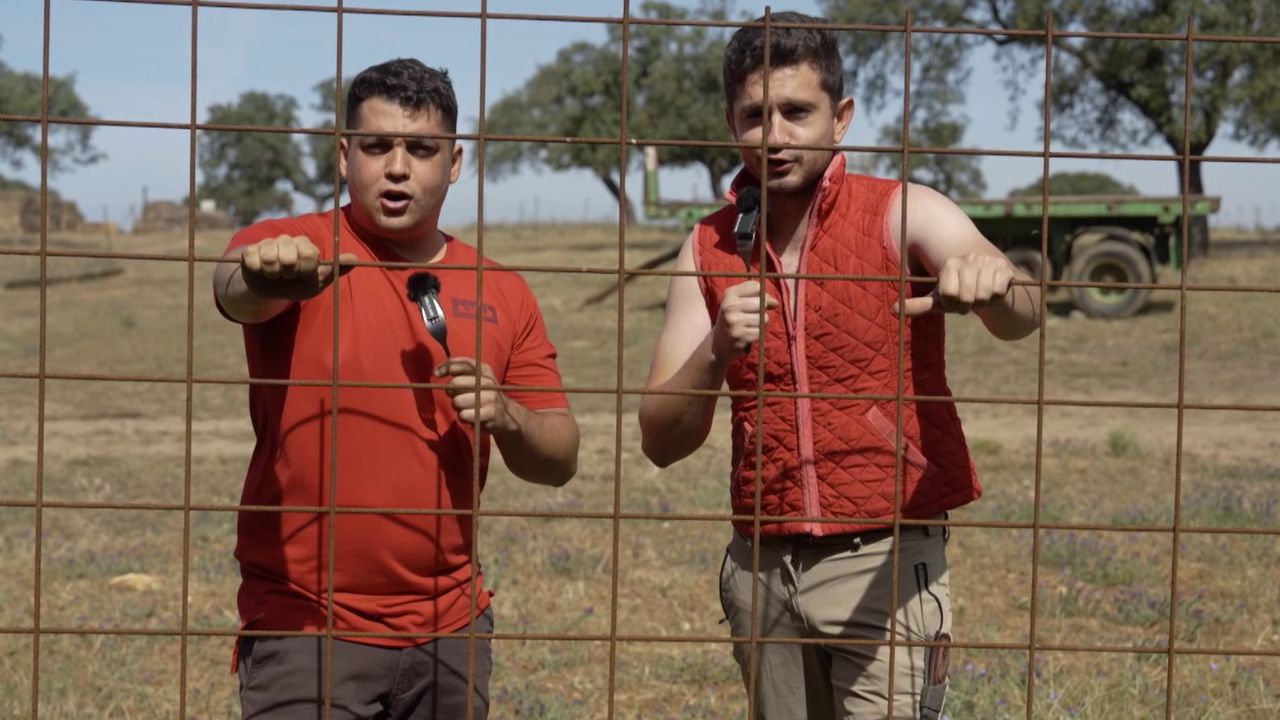 Marcos y Alberto