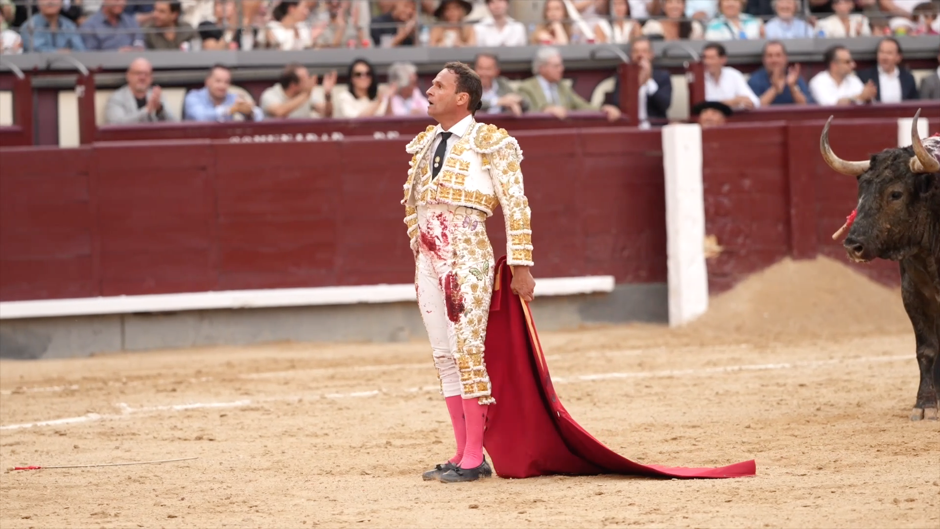 Antonio Ferrera, Las Ventas, Tierra de Toros, Canal Extremadura, Juan Bazaga