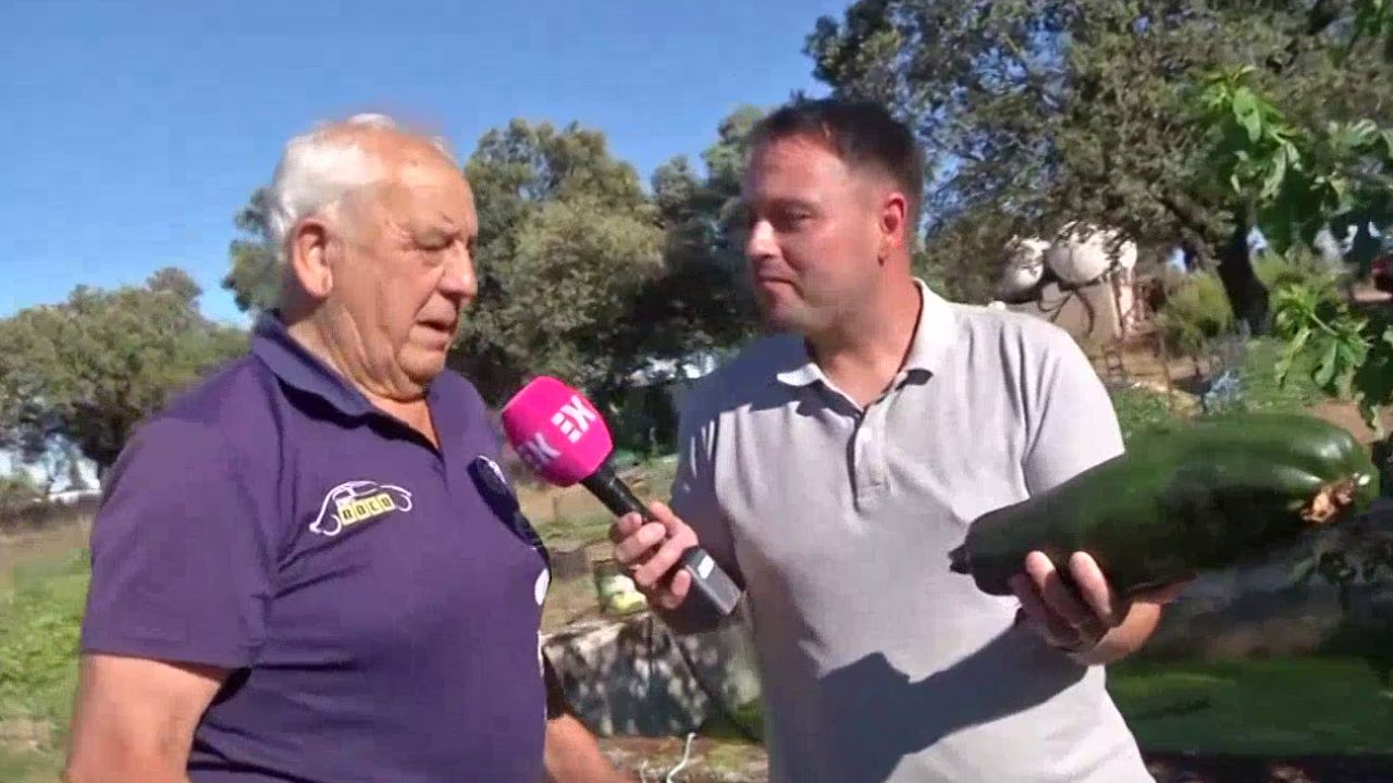 HUERTO