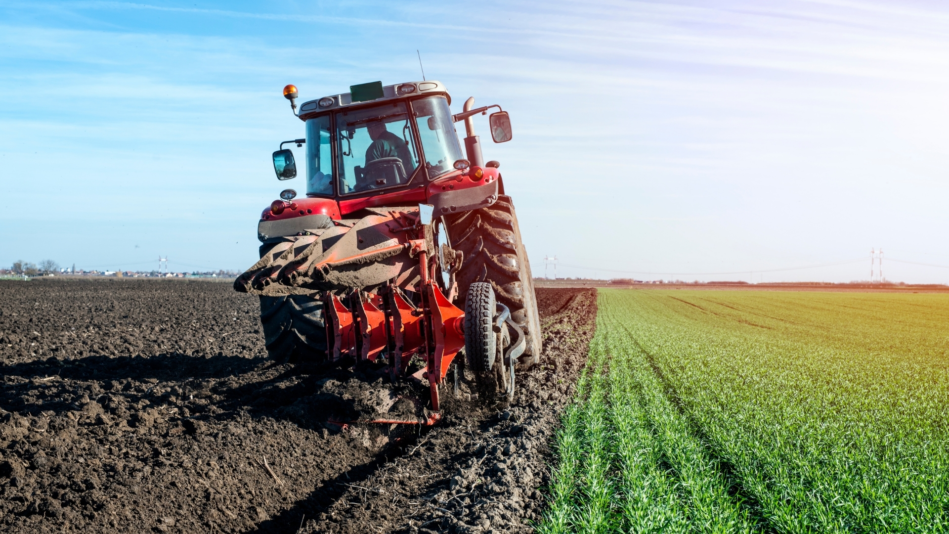 Agricultura