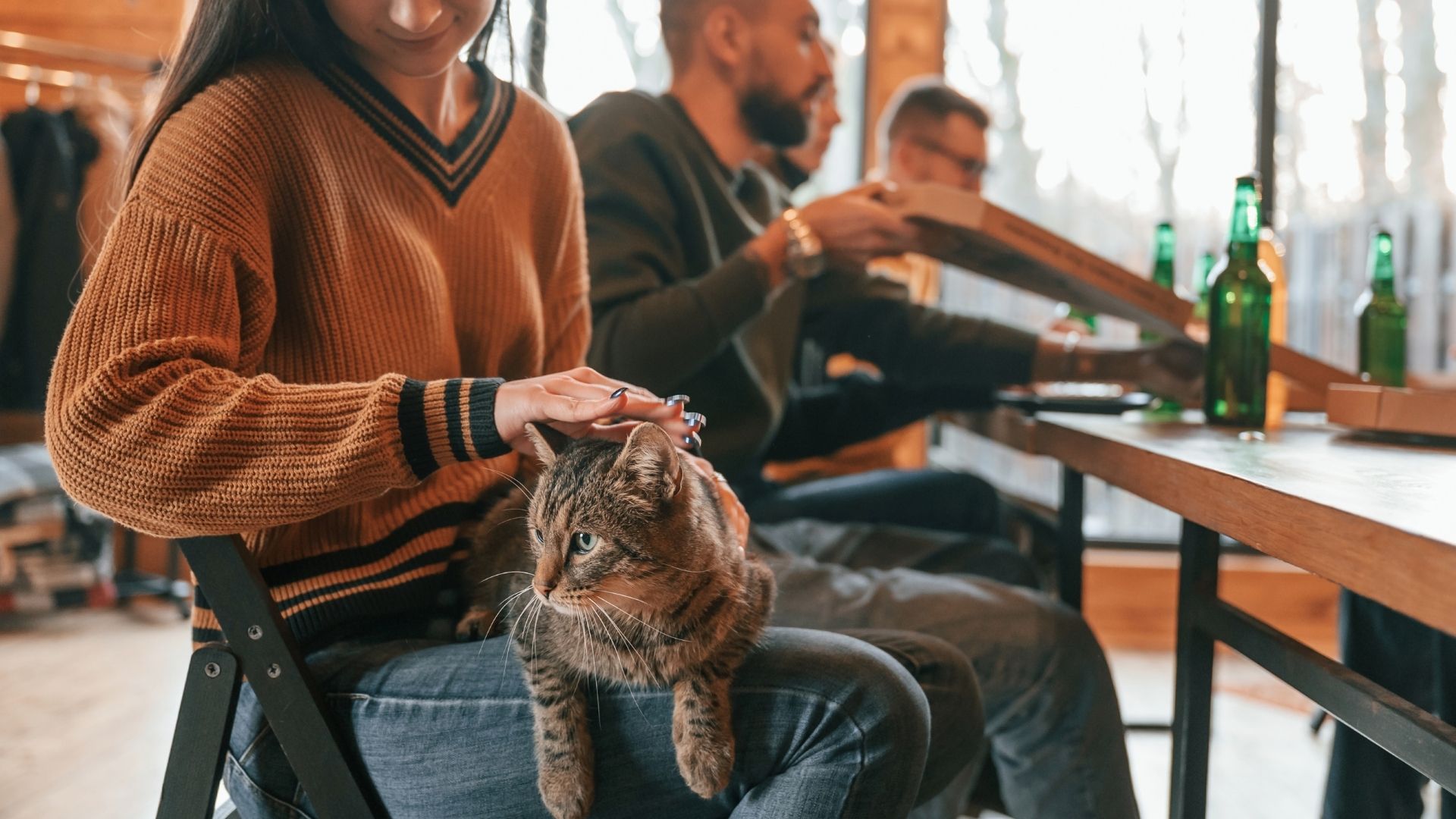 Un gato en el interior de un bar, con sus dueños
