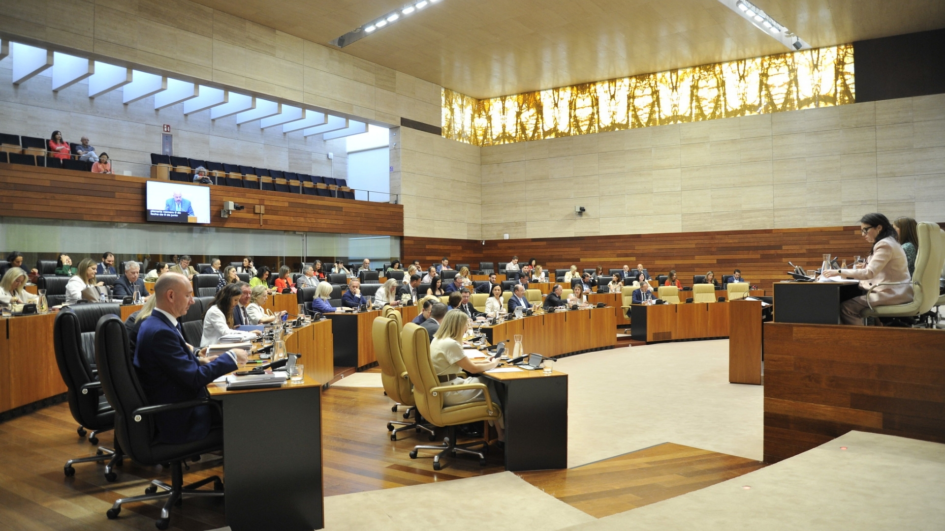 Pleno. Asamblea de Extremadura