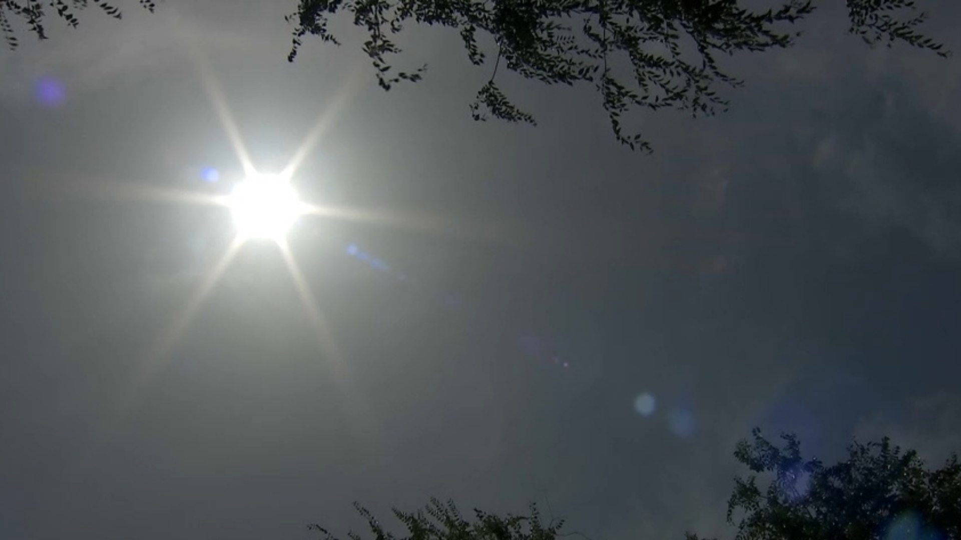 Ola de calor