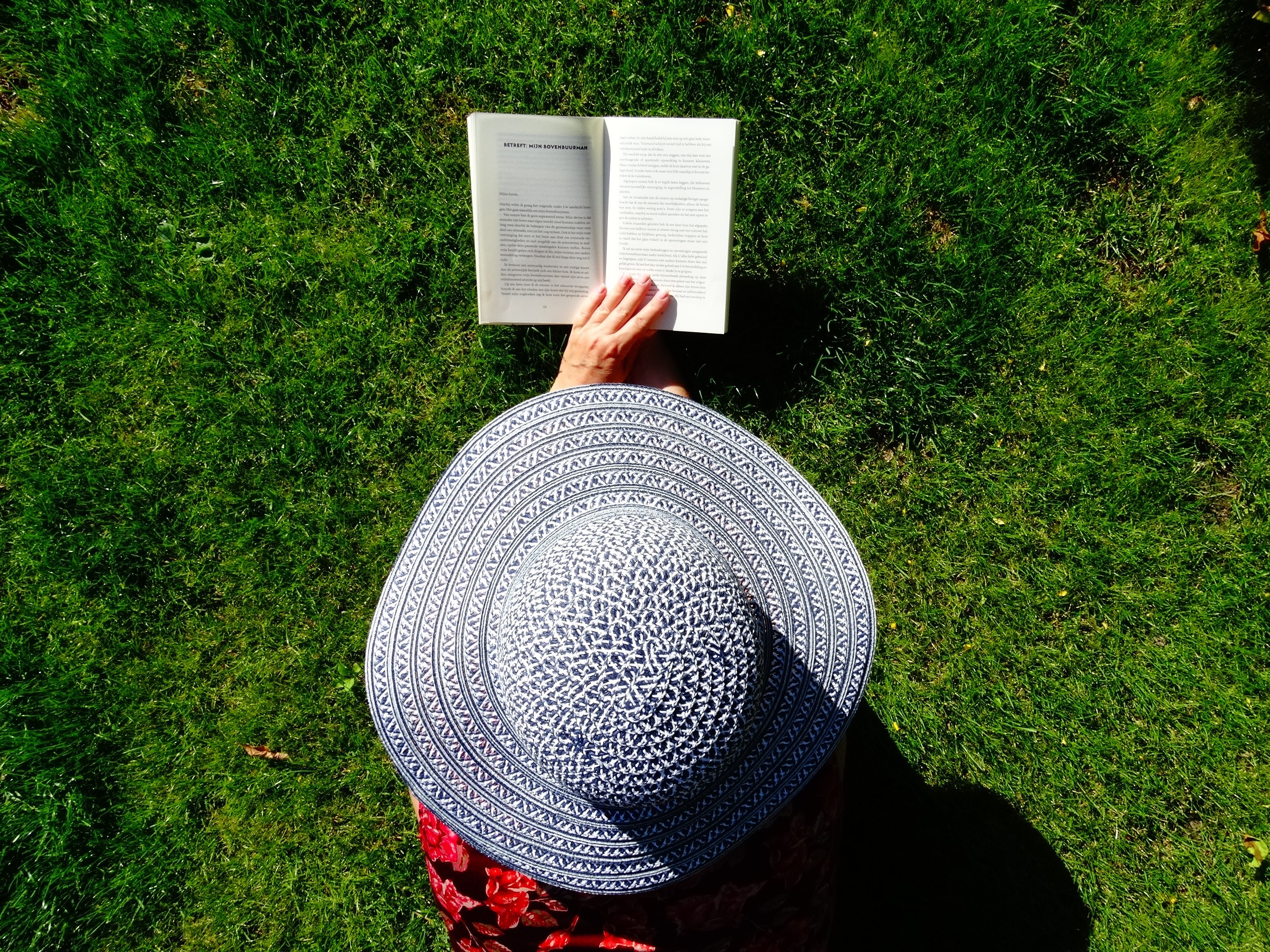 Lectura veraniega. 