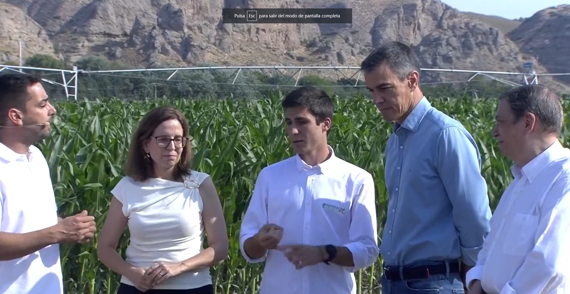Pedro Sánchez, presidente del Gobierno