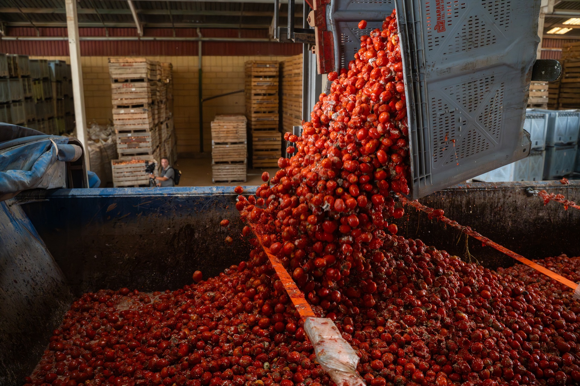 AGRICULTURA