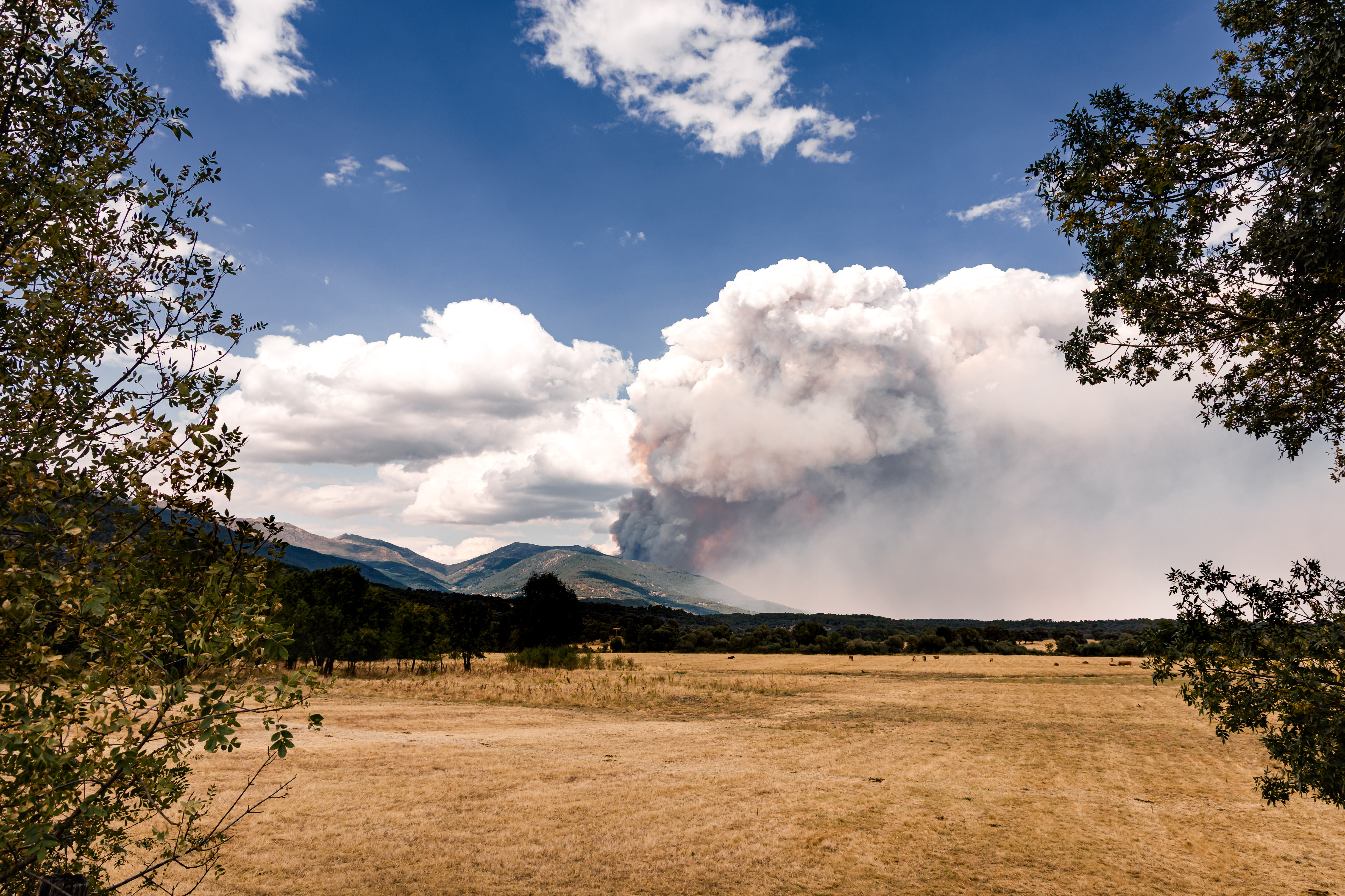 Vista del incendio desde el valle del Tiétar, a 25 de julio de 2026