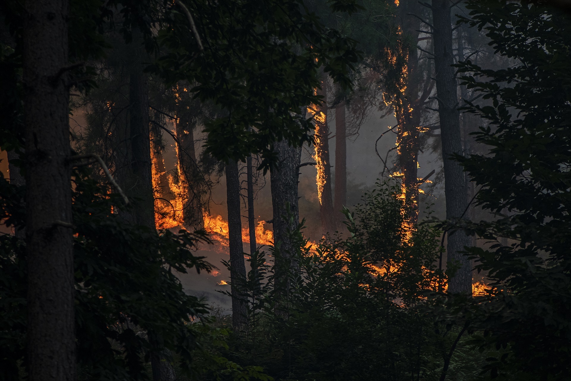 INCENDIOS