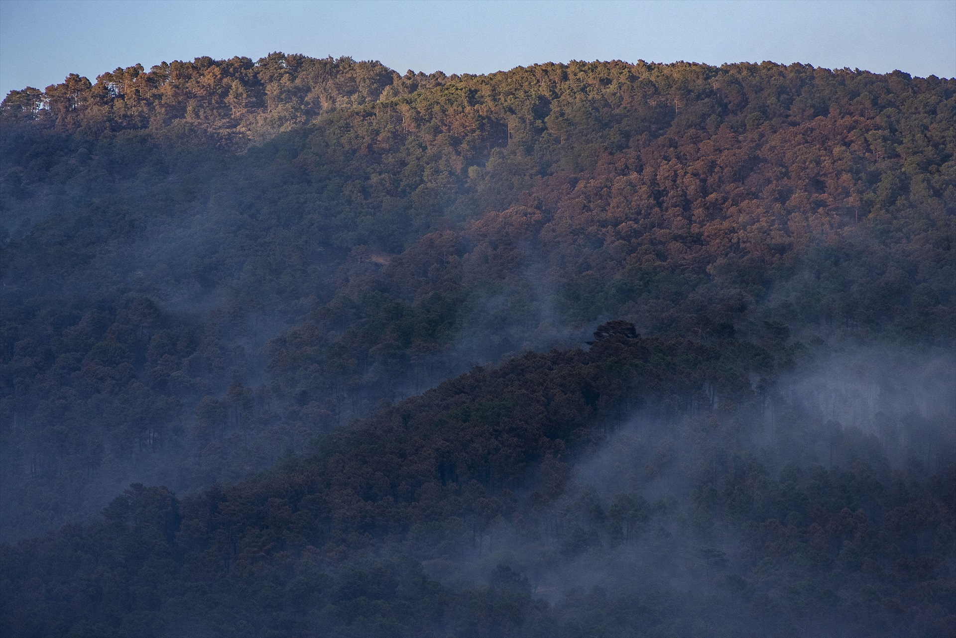 INCENDIOS