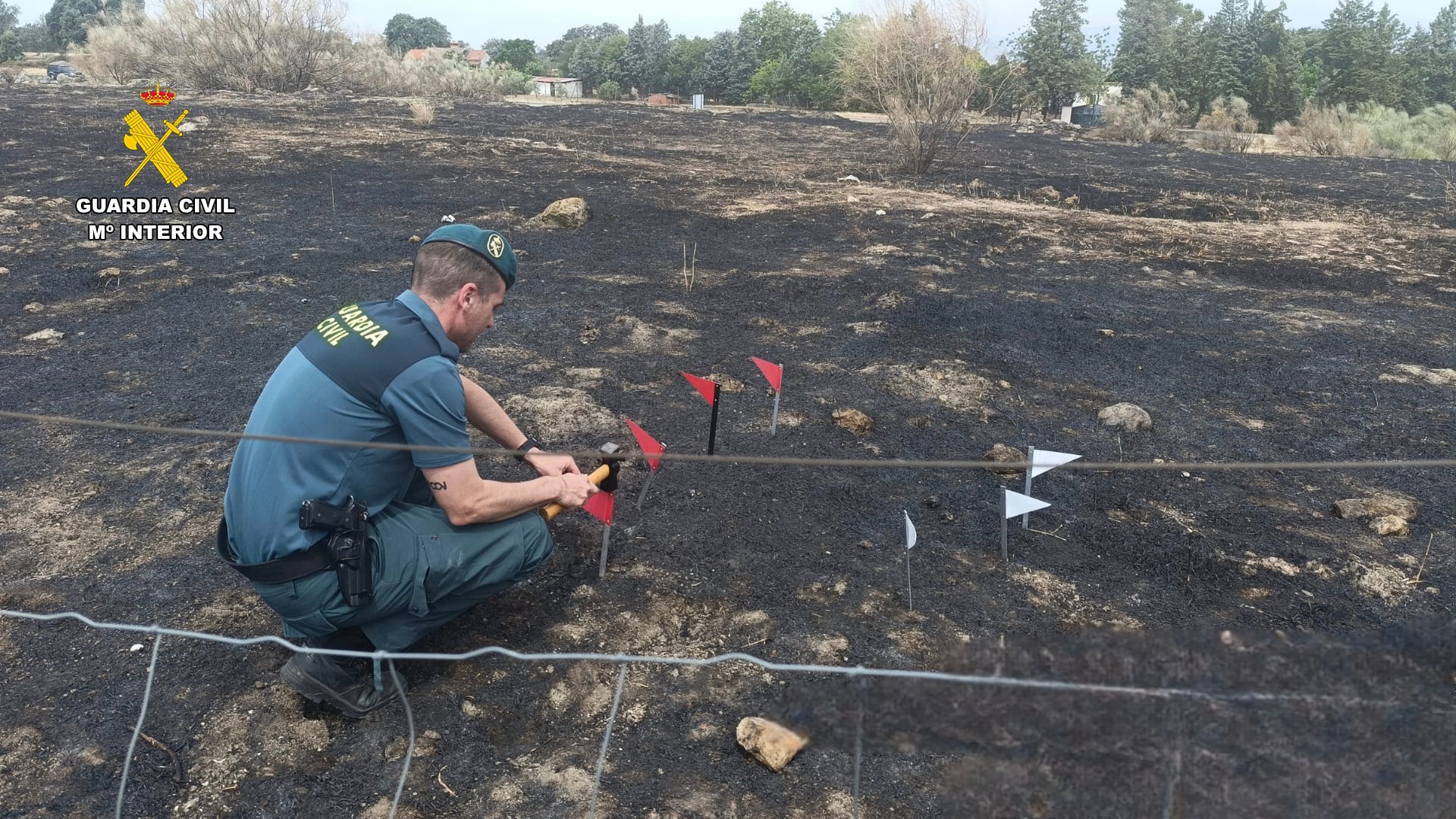 Agente de la Guardia Civil trabajando sobre el terreno