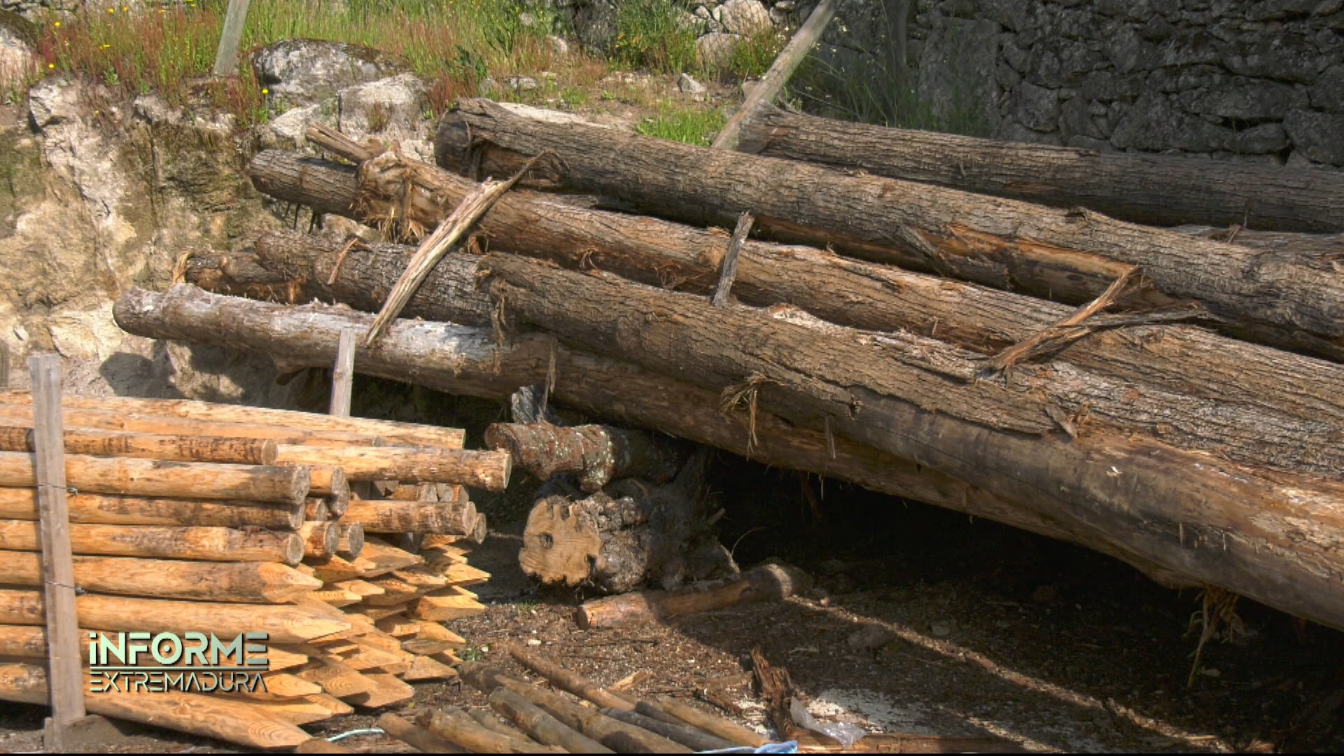 La importancia del sector está estrechamente ligada al territorio. El 68 % de la superficie de Extremadura es forestal