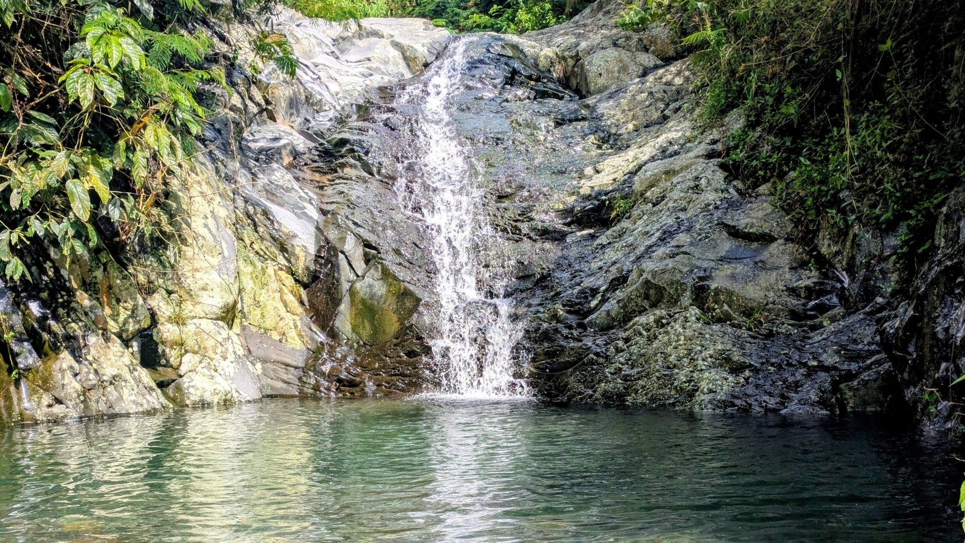 Piscina natural