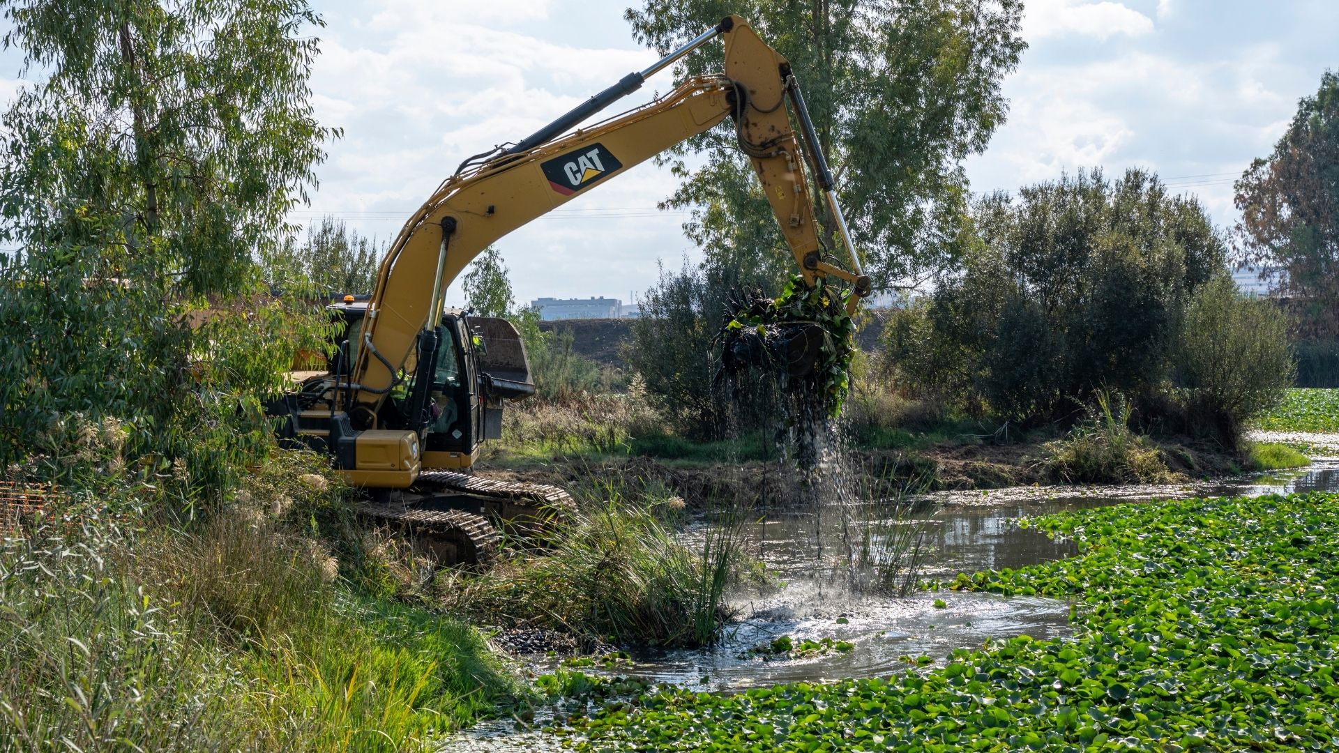 Obras para retirar el nenúfar a su paso por Badajoz