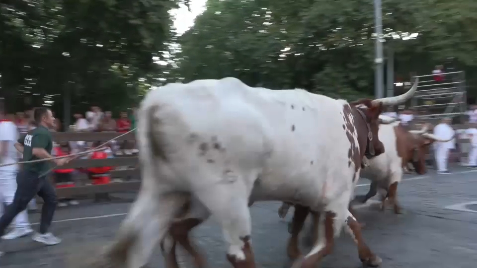 Jandilla cierra los Sanfermines con un encierro rápido y peligroso