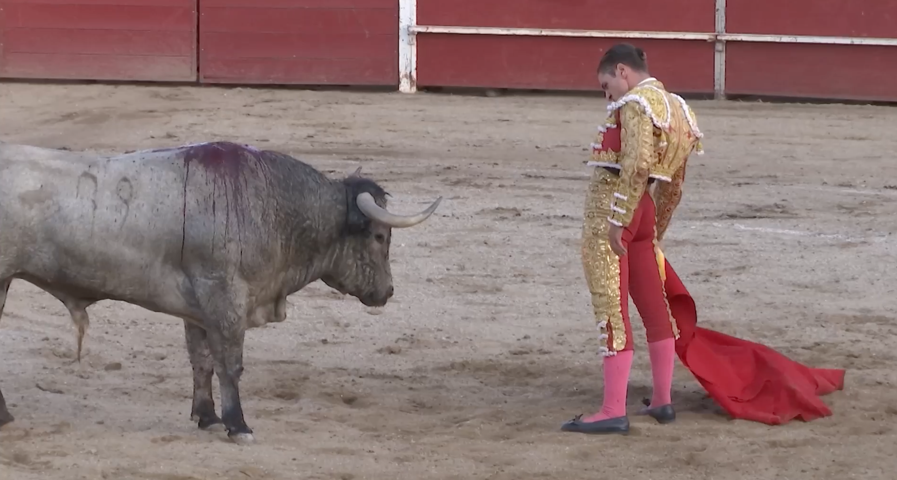 Corrida de Adolfo Martín, Moraleja, Tierra de Toros, Canal Extremadura, Juan Bazaga