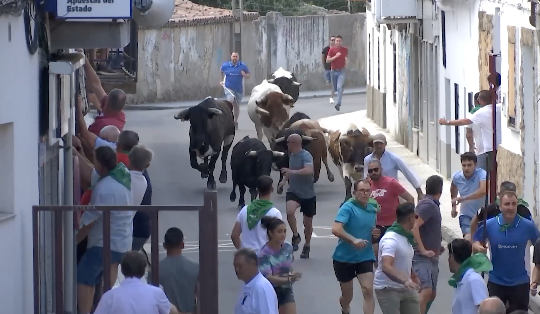 Encierro novillos, Moraleja, Tierra de Toros, Canal Extremadura, Juan Bazaga