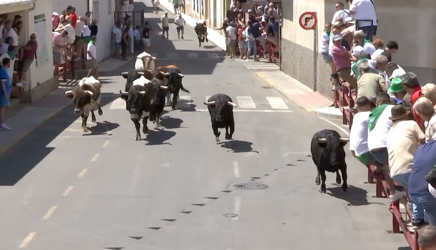Encierro Moraleja, , Tierra de Toros, Canal Extremadura, Juan Bazaga