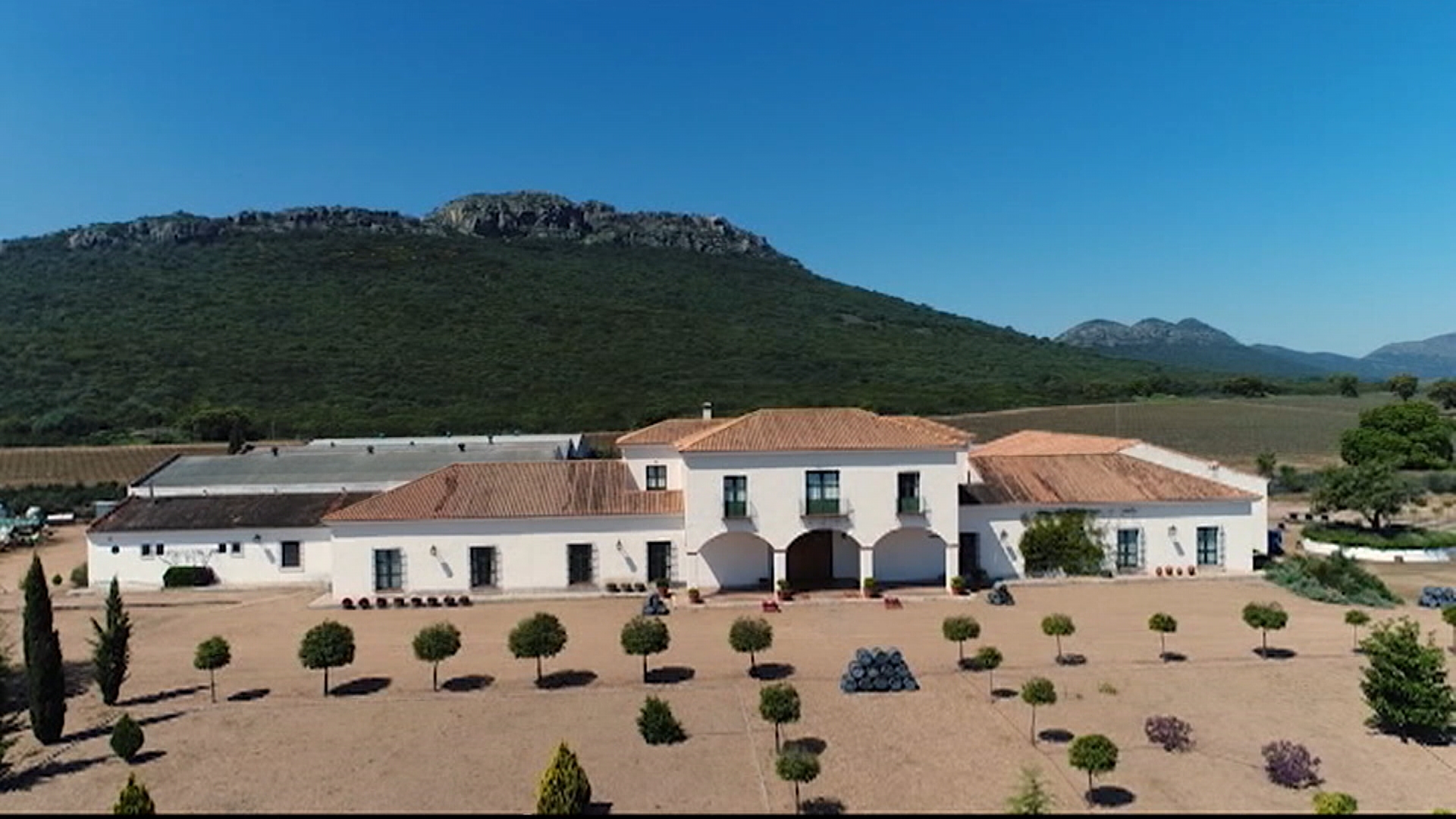 Su apuesta se centró desde el principio en el control integral del proceso de producción, desde el viñedo hasta el embotellado, y en la introducción de variedades internacionales
