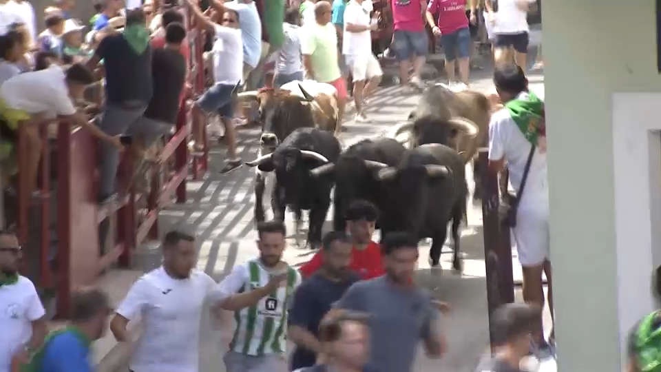 Fiestas de Sanbuenaventura en Moraleja