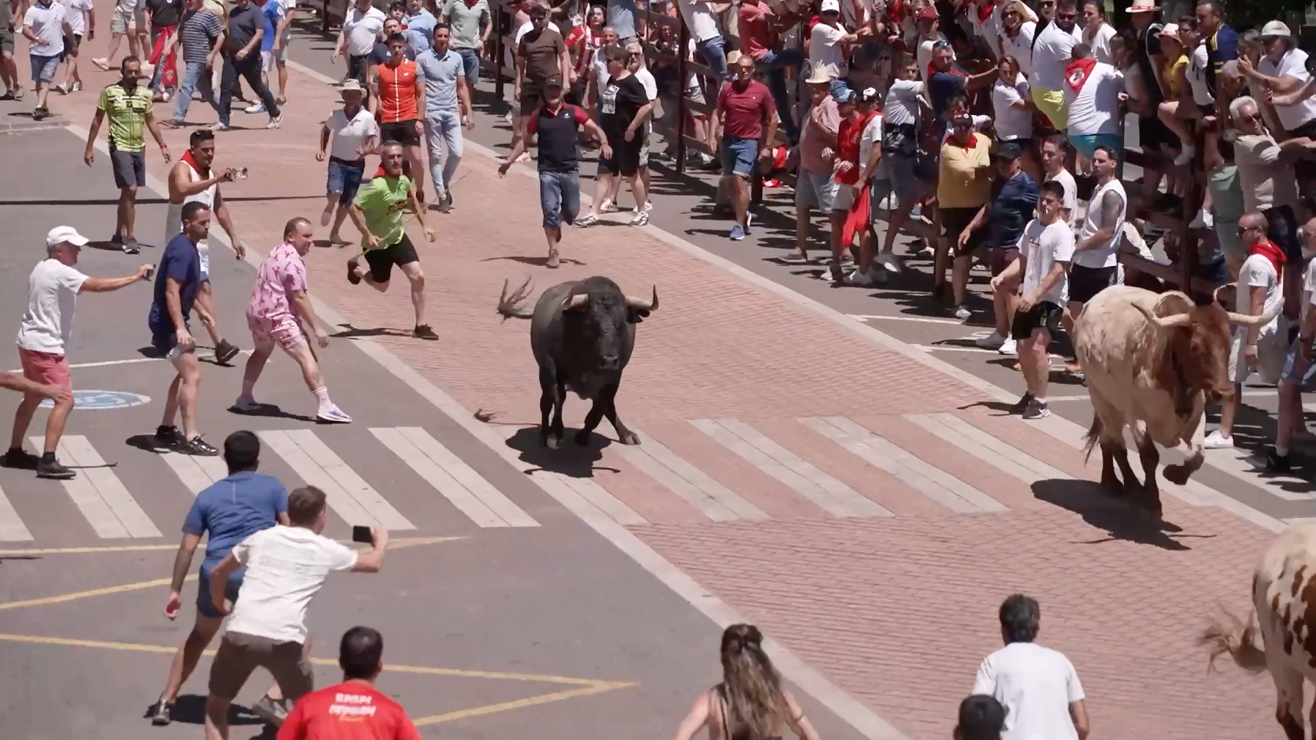 Último encierro, sanjuanes Coria, Tierra de Toros, Canal Extremadura, Juan Bazaga