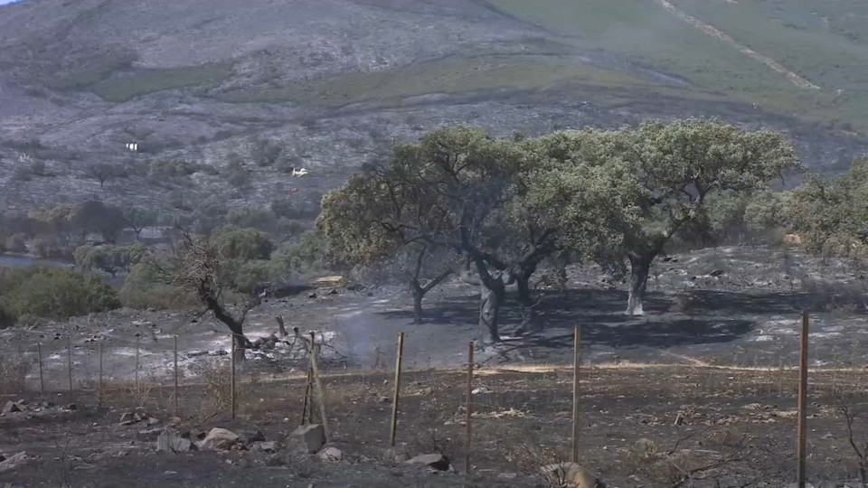 El incendio de Casas de Millán se encuentra estabilizado entre un 80% y un 85%