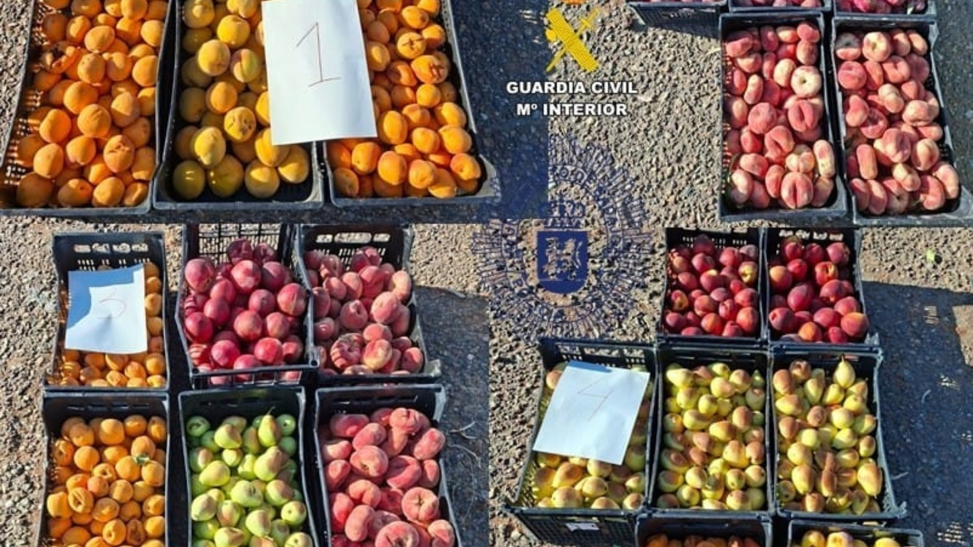 Cajas de fruta