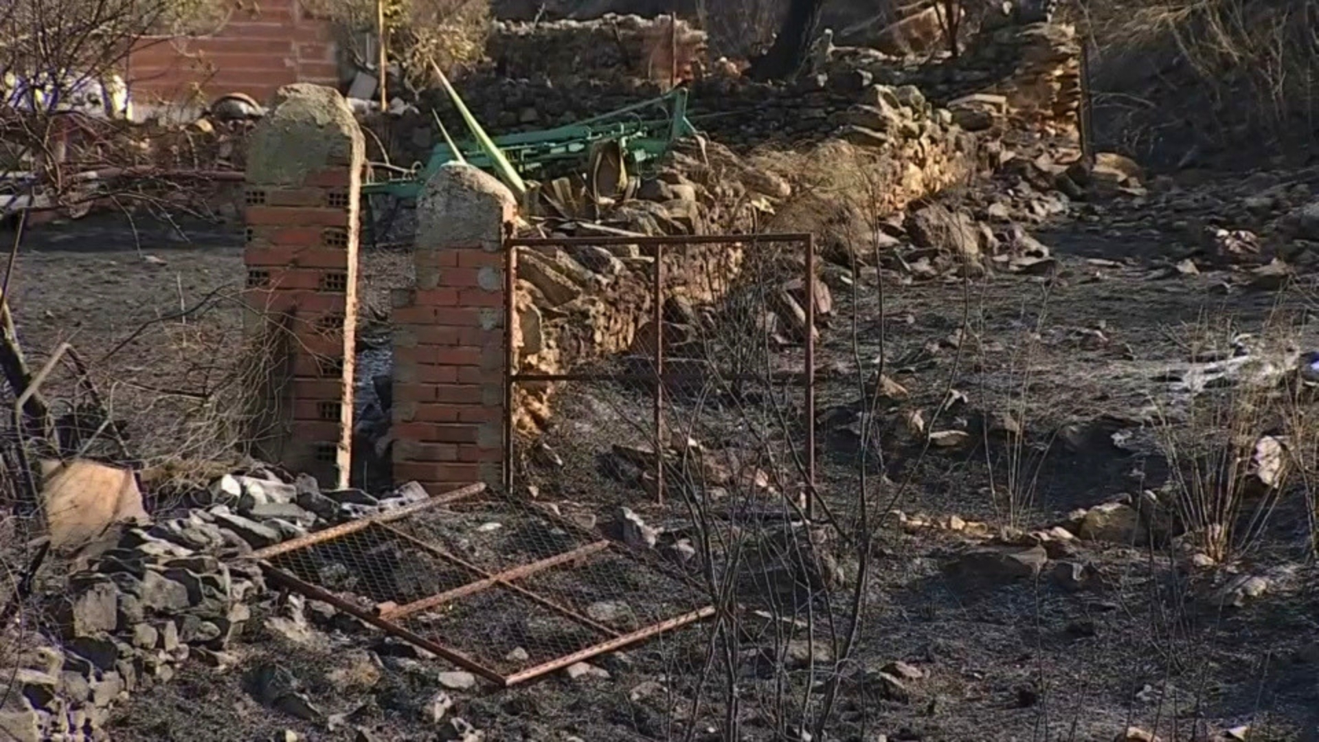 Daños en parcelas de Casas de Millán tras el incendio