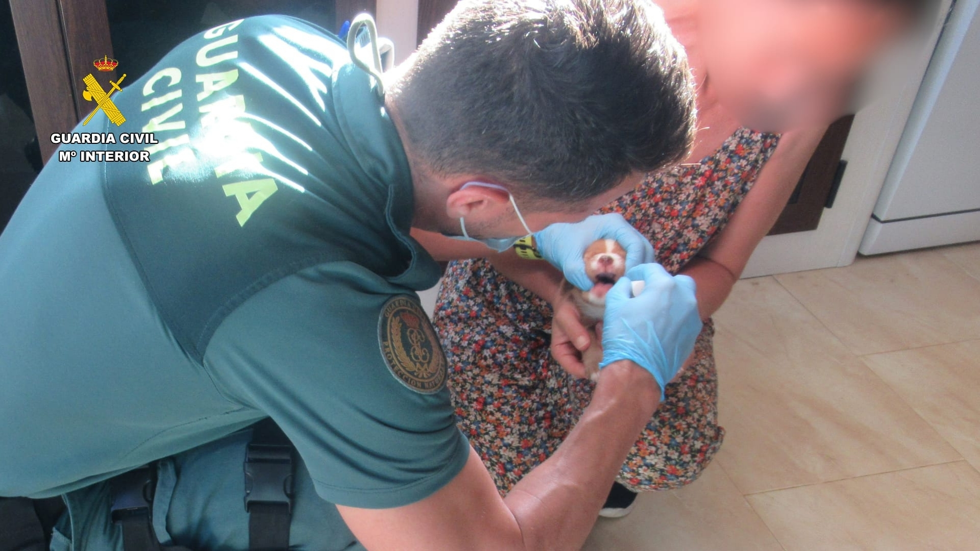 La Guardia Civil ha investigado a un hombre como presunto autor de un delito de abandono de animales domésticos y otro de maltrato animal