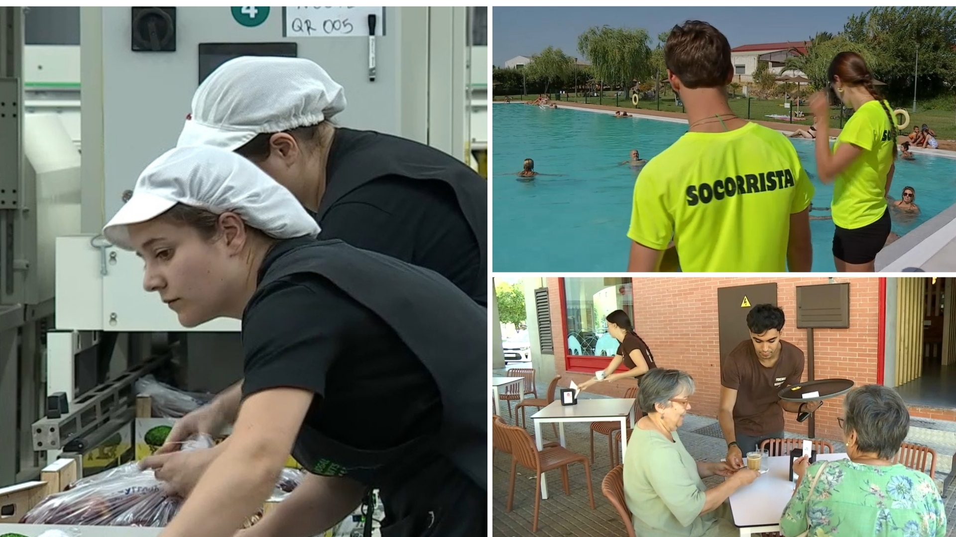 Empleos de verano