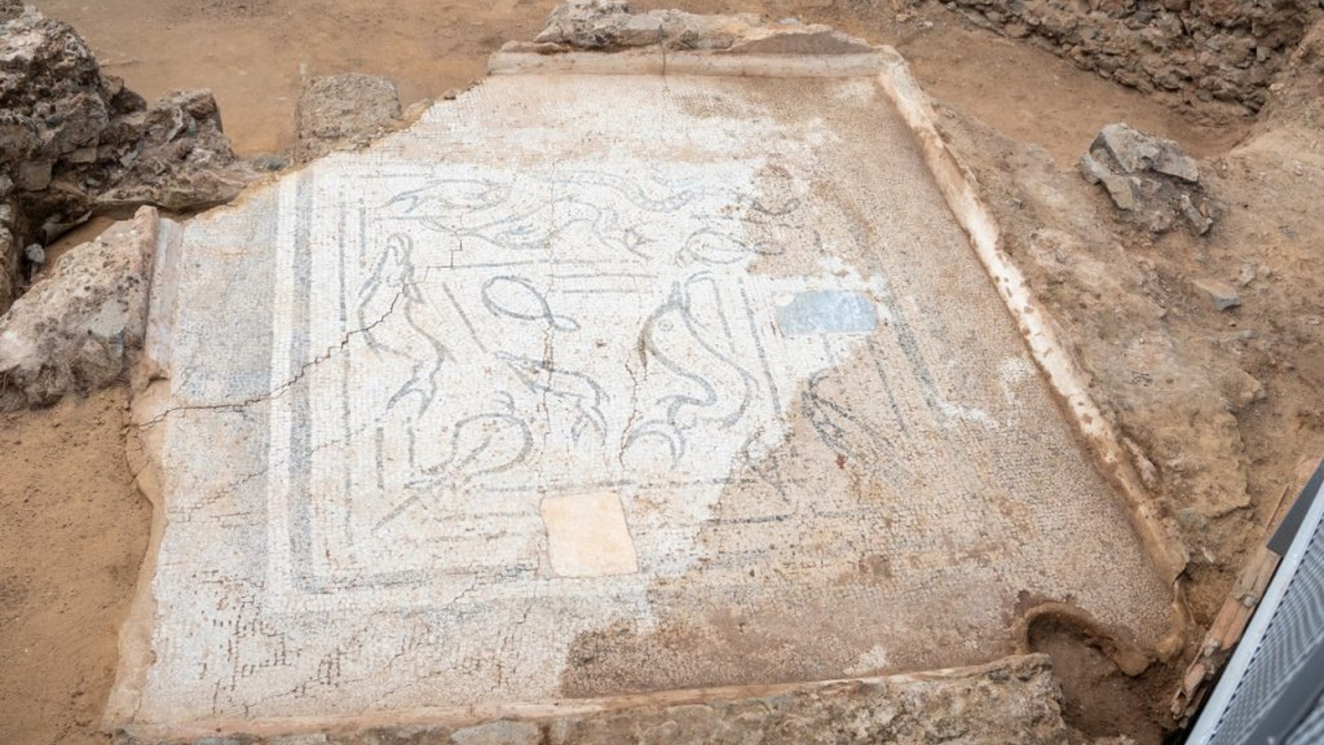 El mosaico, descubierto durante las excavaciones de la Ciudad de la Infancia