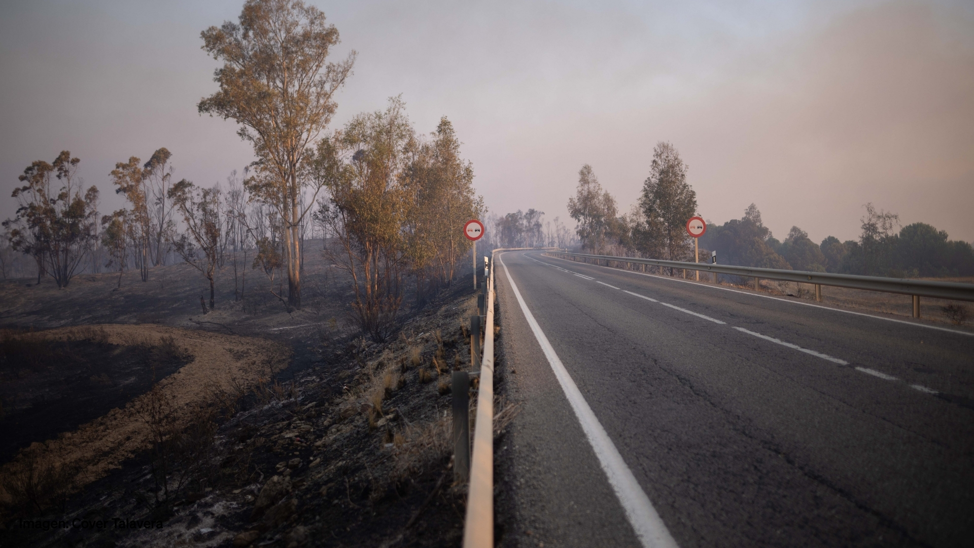 Incendio forestal