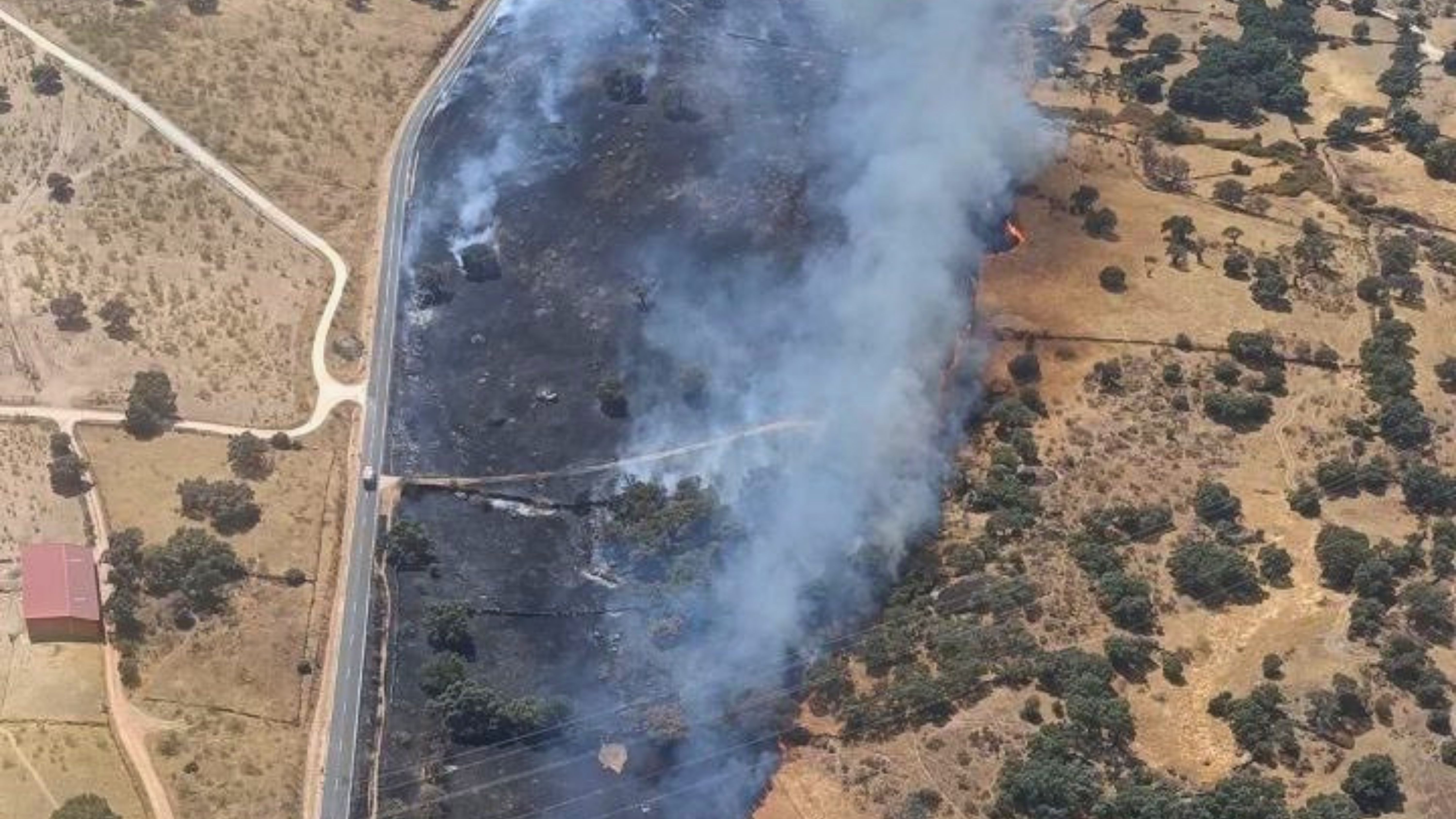 Incendio Forestal en Bohonal de Ibor (Cáceres).