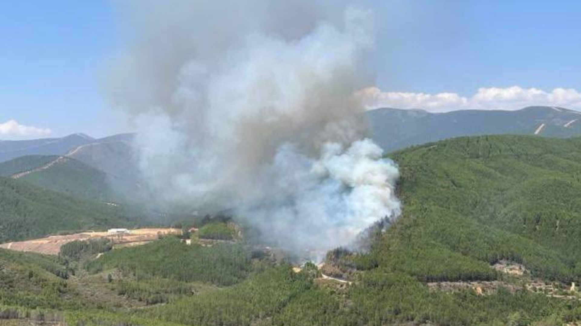 Incendio en Pinofranqueado