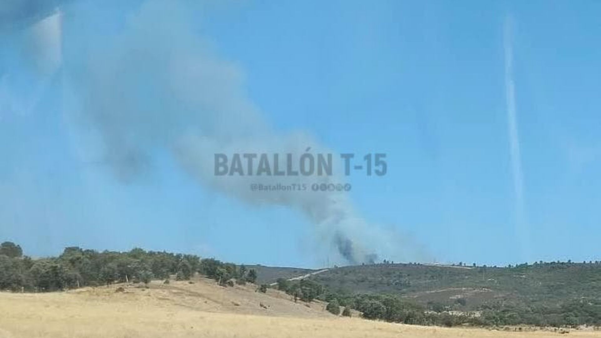 Batallón T-15
