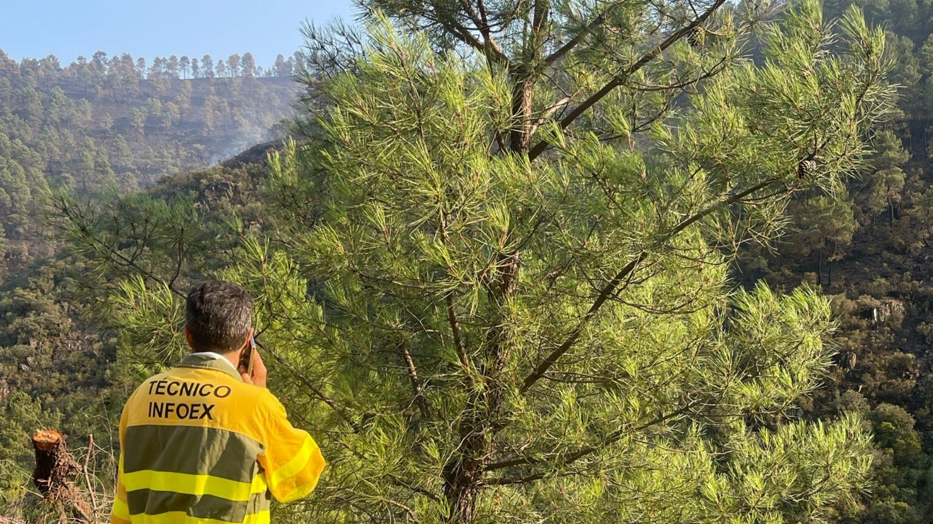 Efectivo del Plan Infoex en el incendio de Pinofranqueado