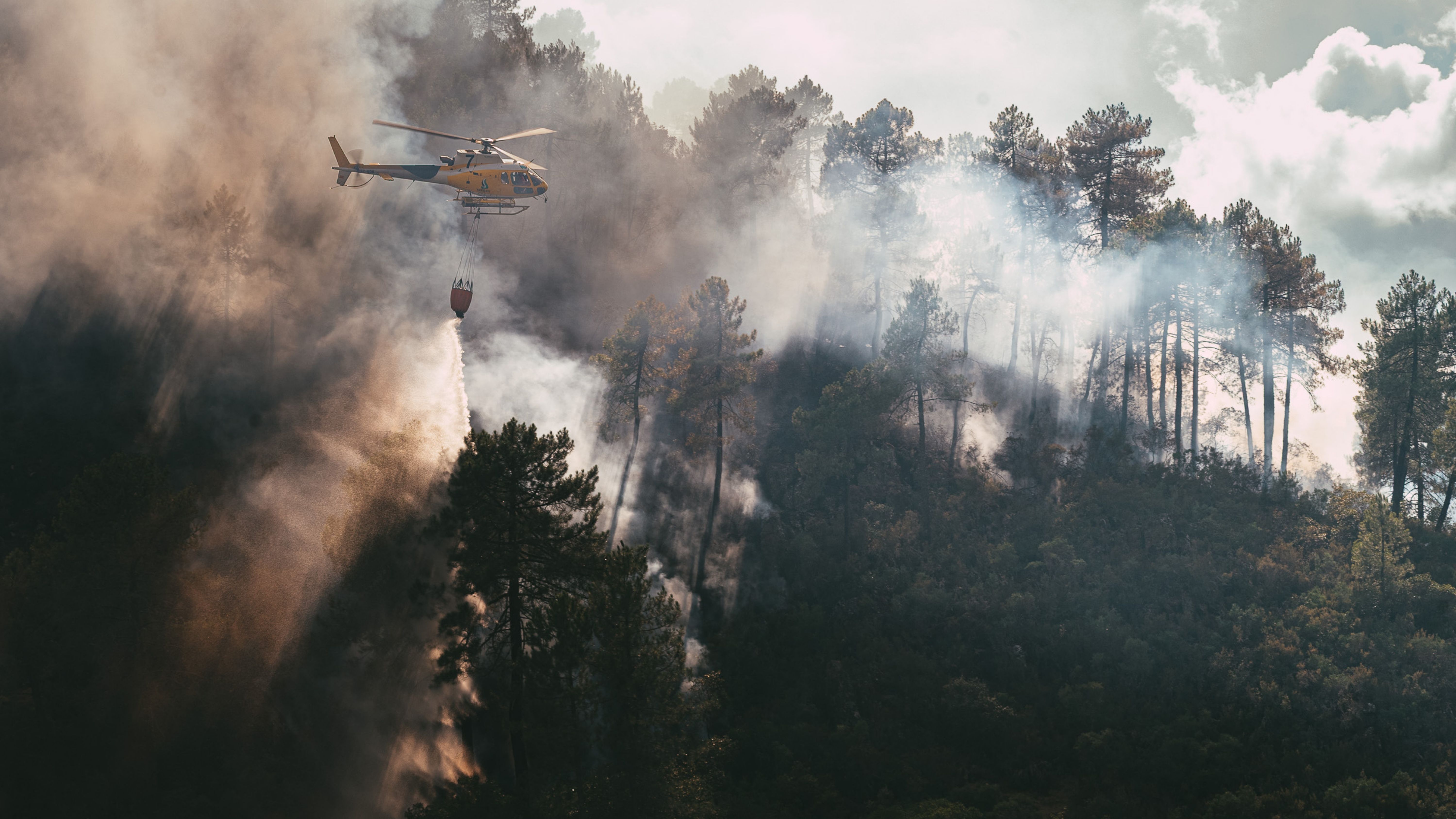 Infoex. Medios aéreos durante la extinción de un incendio forestal