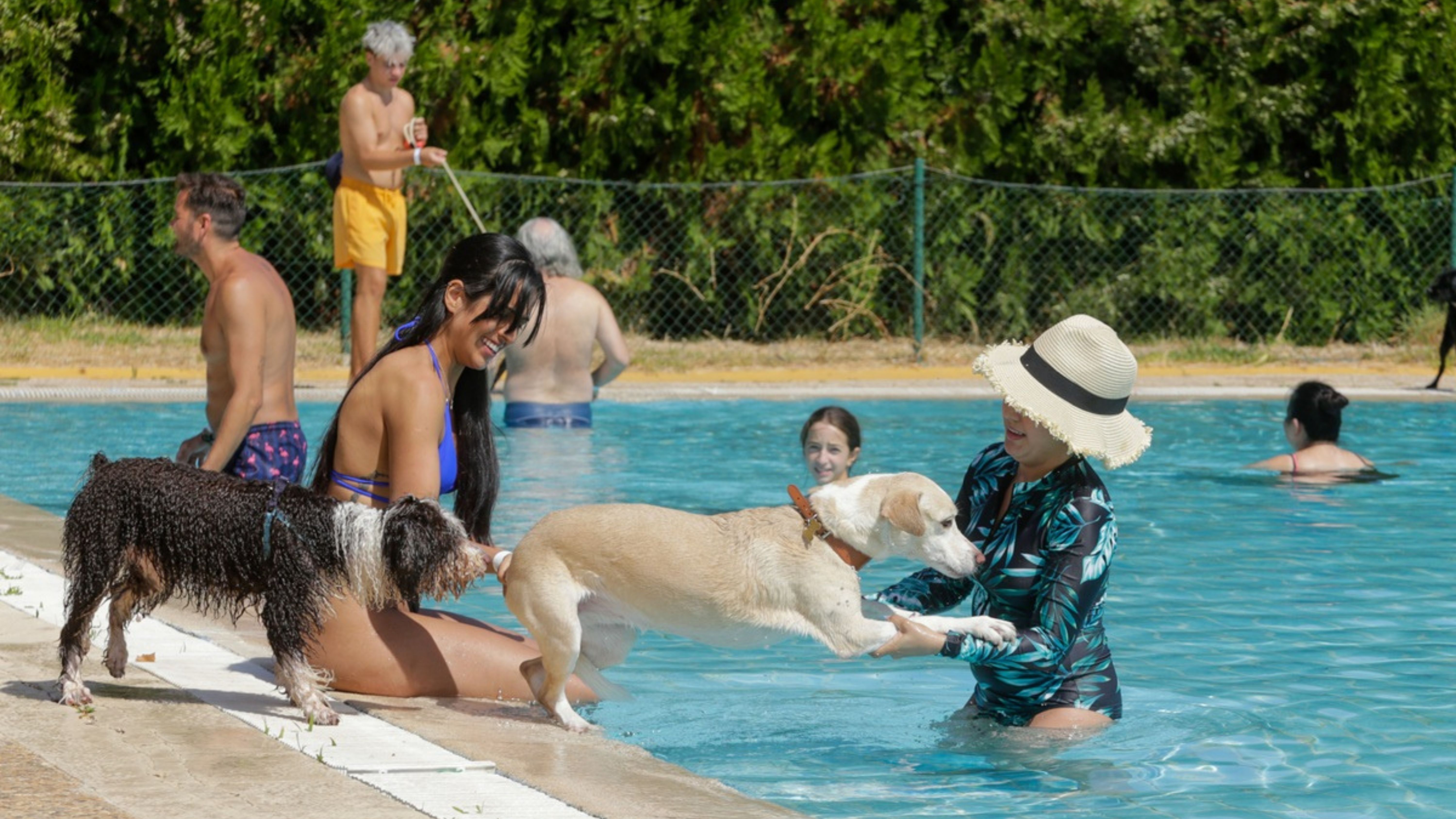 VIII edición de la actividad 'Patas al Agua' en Mérida