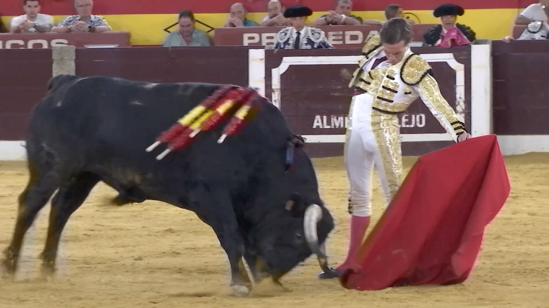 Tomás Angulo, Tierra de Toros, Canal Extremadura, Juan Bazaga