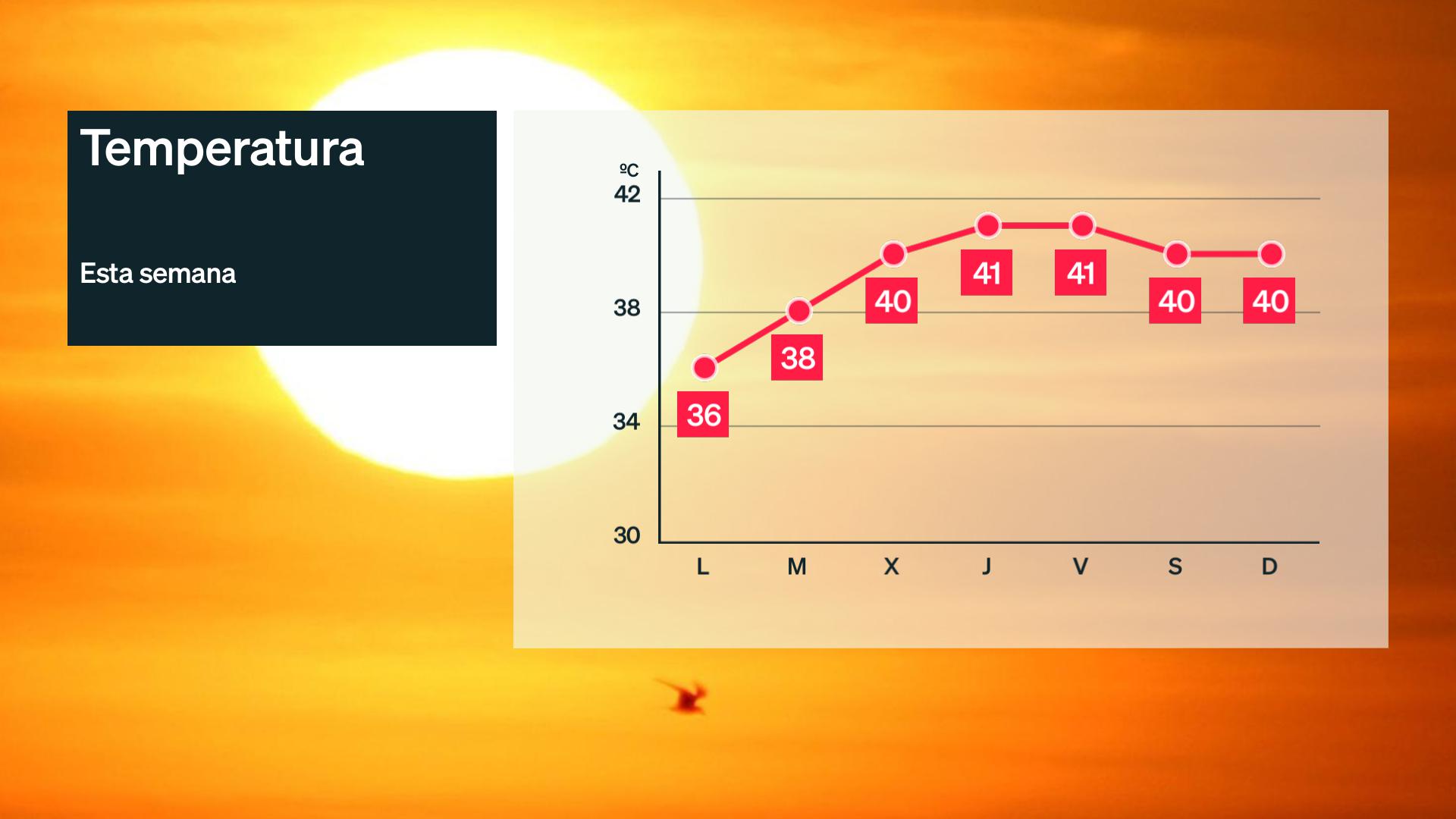 Mapa previsión 