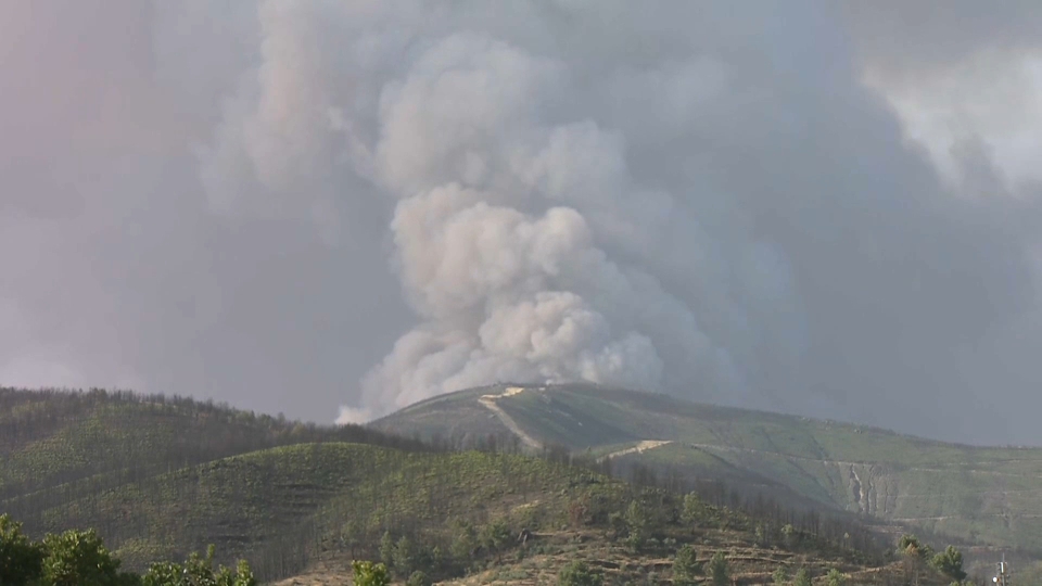 Incendio en Pinofranqueado