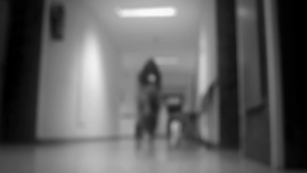 Su imagen ha pasado a formar parte del imaginario colectivo de la ciudad y del catálogo de misterios que se cuentan en Extremadura