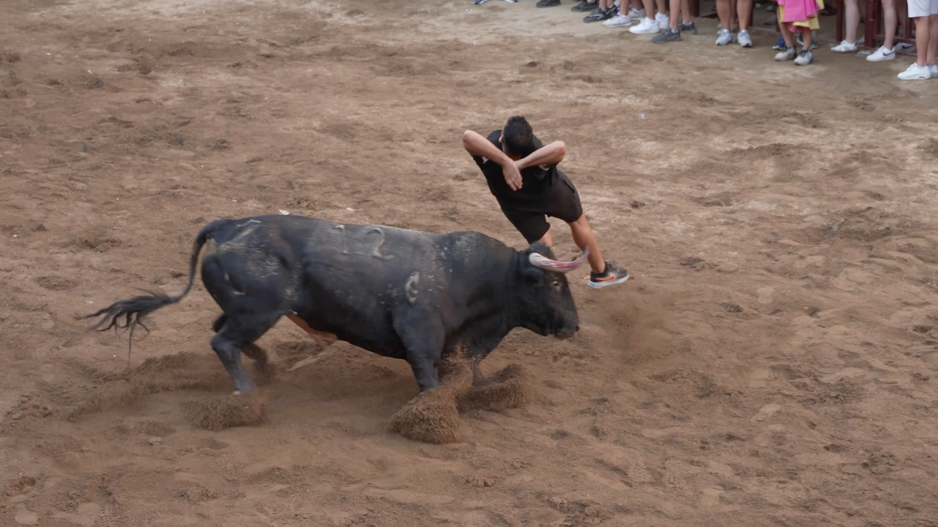 Torrejoncllo, Tierra de Toros, Canal Extremadura, Juan Bazaga