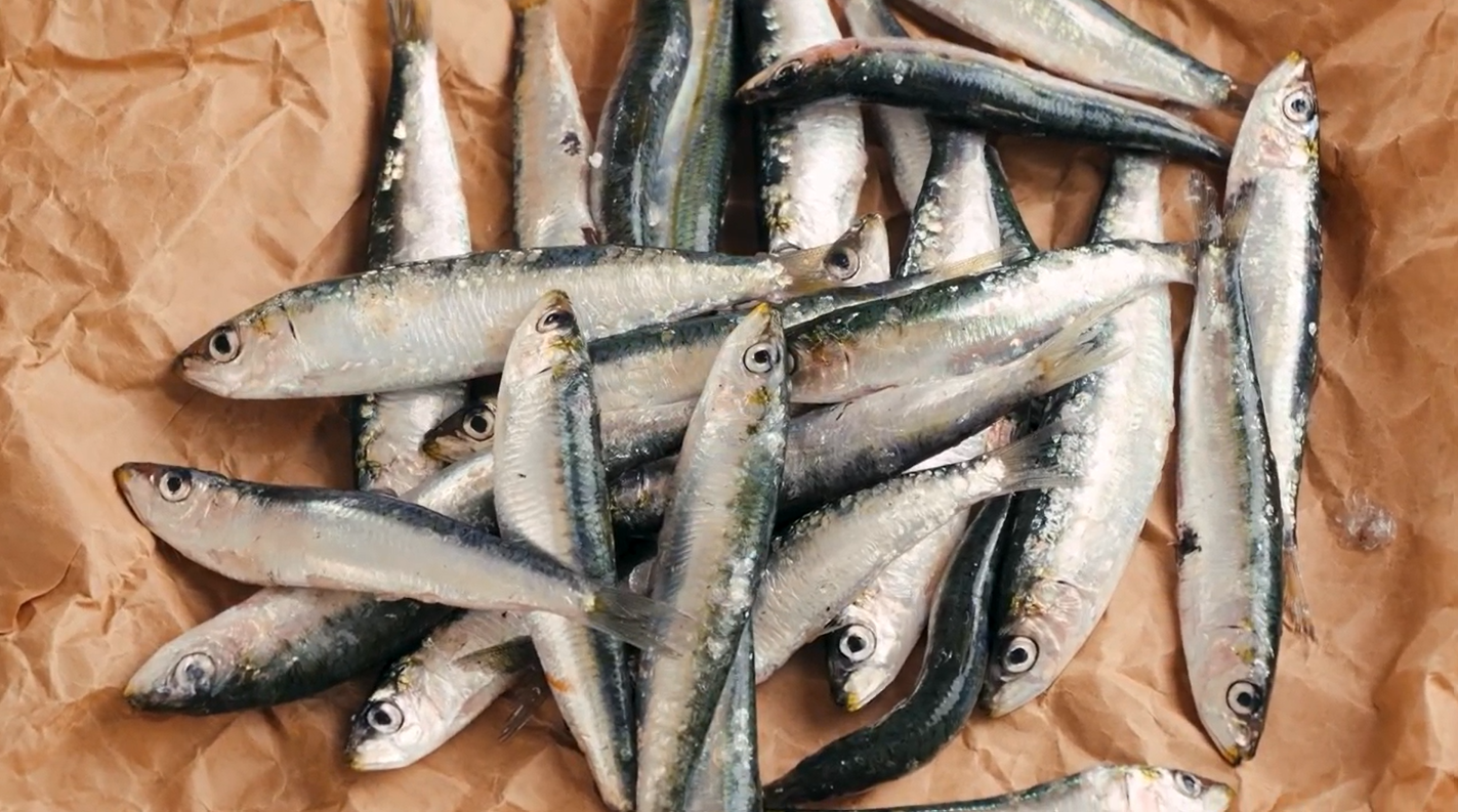 Alimentación saludable