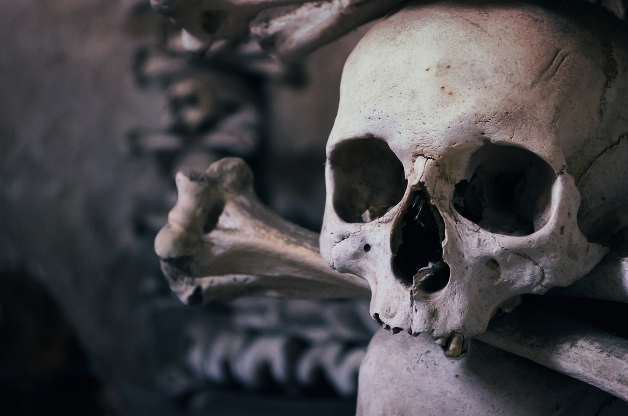 Calaveras y otros restos 