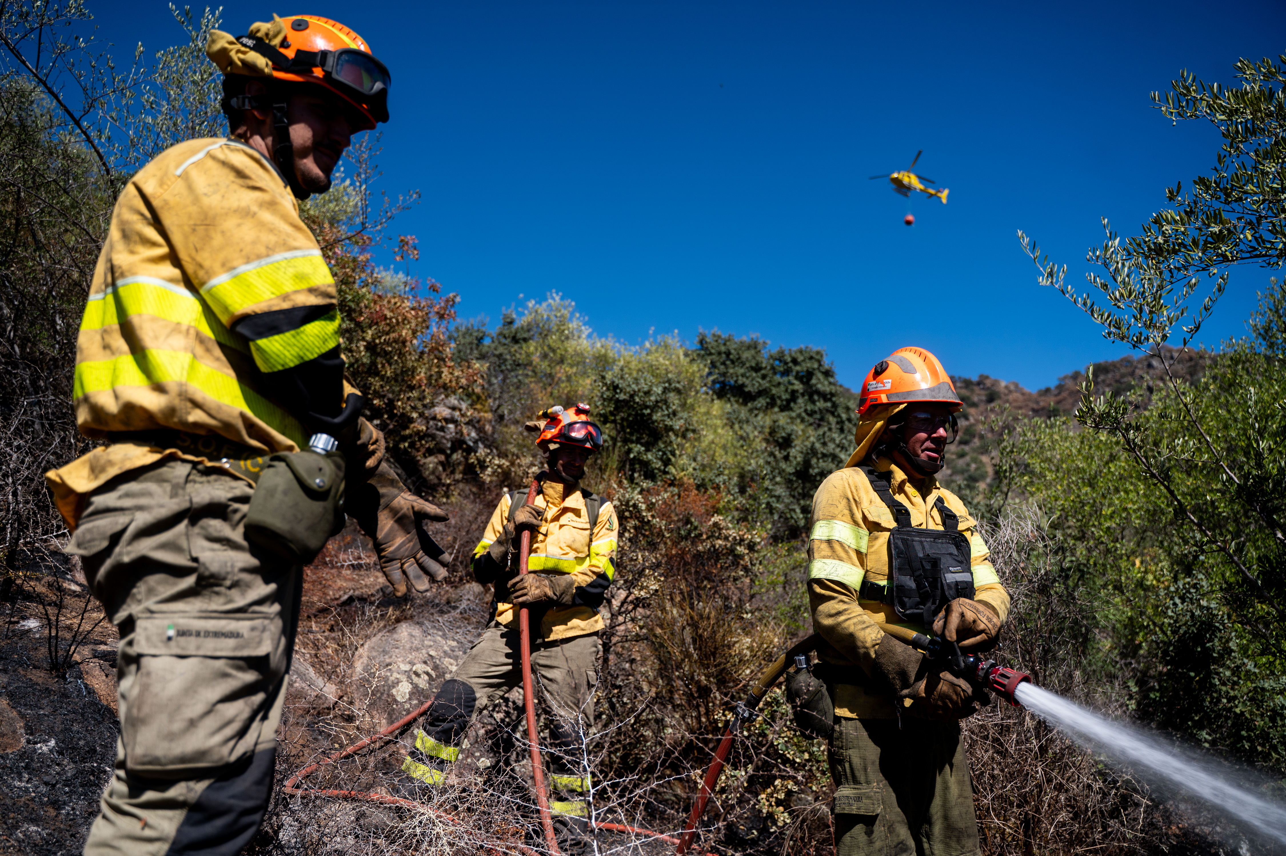 El Plan Infoex interviene en 33 incidentes durante la semana y registra 15 incendios forestales