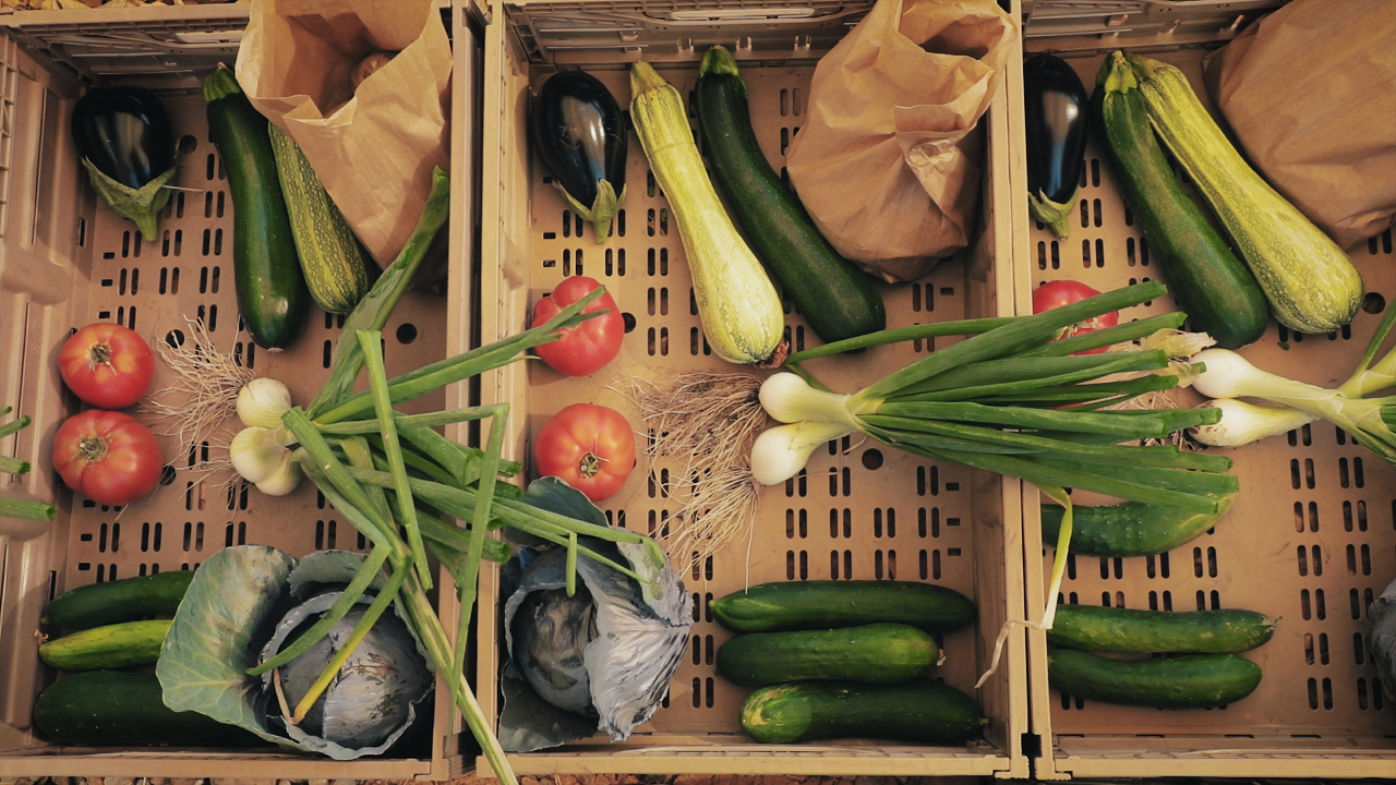 Cestas con productos ecológicos