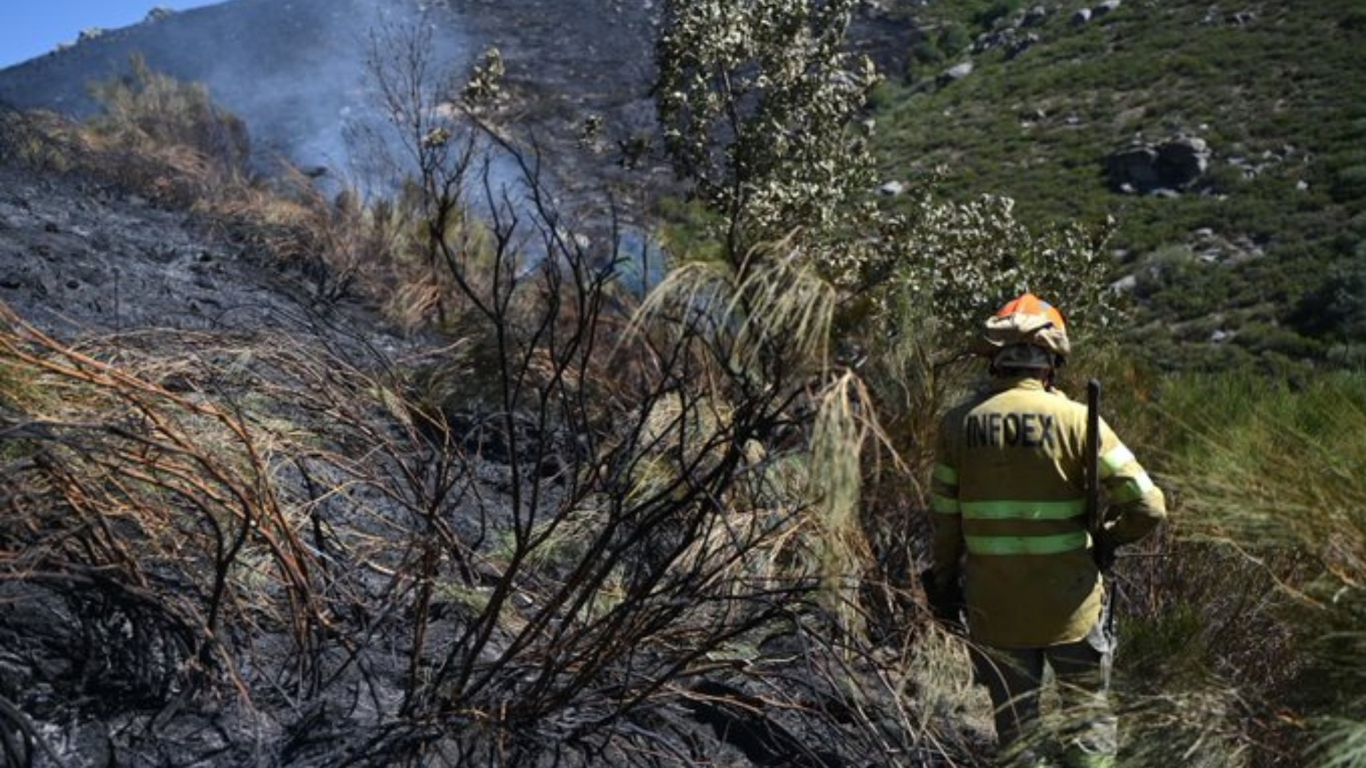 Incendio Tornavacas. Infoex